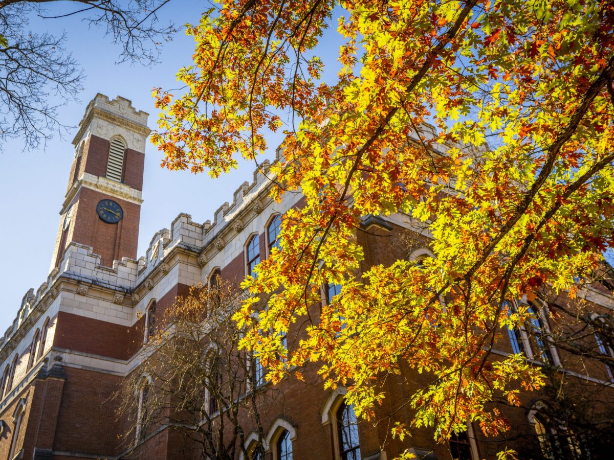 Fall Leaves on Campus